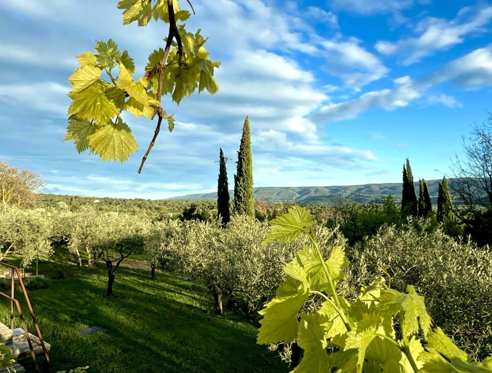 Provence Km28 Bed & Breakfast Gordes Ngoại thất bức ảnh